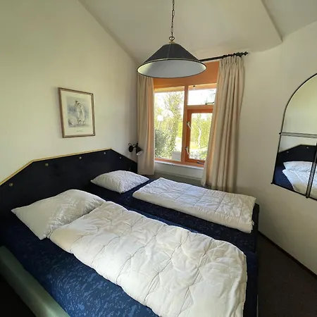 Zeester 023 Julianadorp