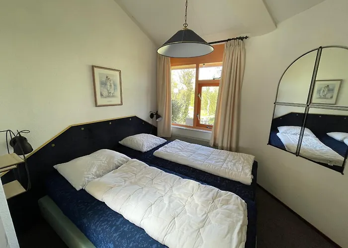 Zeester 023 Julianadorp